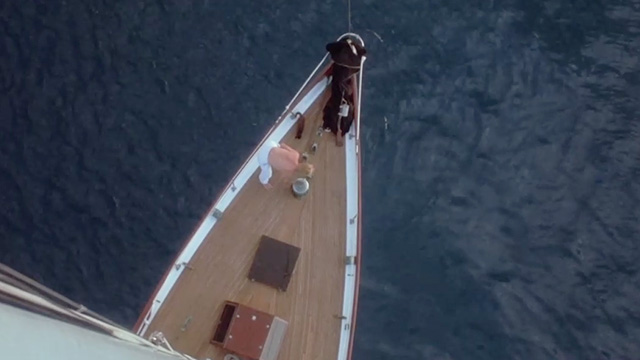 Eureka - overhead shot of boat deck with reddish cat running across