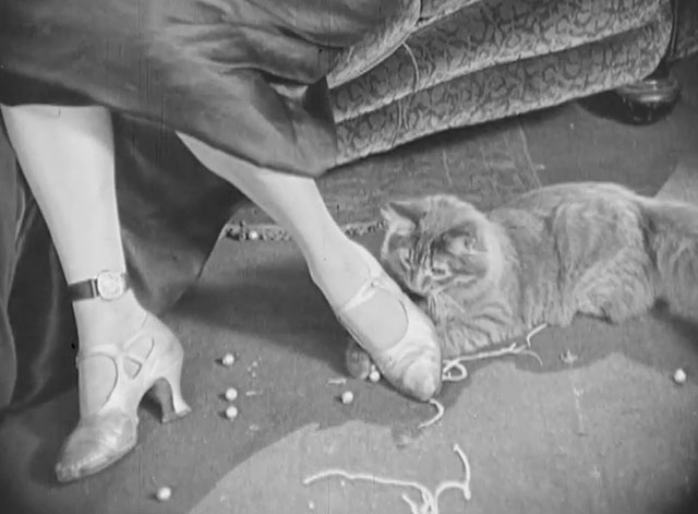 Exit Smiling - longhair tabby cat playing with pearls at Violet's feet