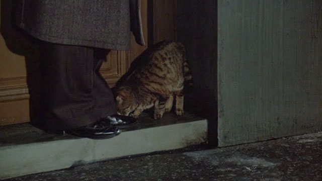 Flic Story - tabby cat in doorway with policeman's feet