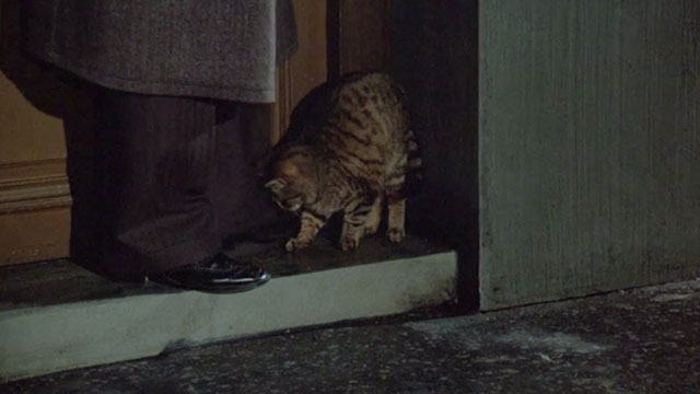 Flic Story - tabby cat in doorway with policeman's feet