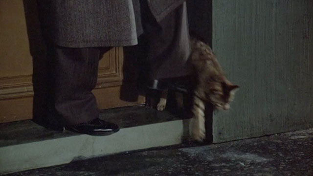 Flic Story - tabby cat in doorway being pushed away by policeman's foot