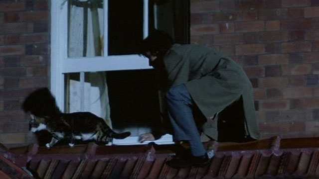 Flirting - Danny Noah Taylor on roof with brown and white tabby cat Rastus