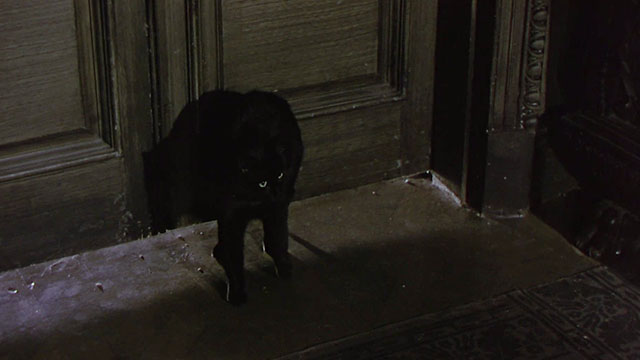 Footsteps in the Fog - black cat Missy looking nervous outside of door