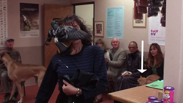 Forget Paris - ginger tabby cat and other pets with owners in waiting room with Ellen Debra Winger and pigeon on head