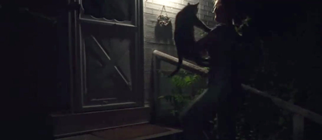 Francine - Francine Melissa Leo holding up tabby cat on porch