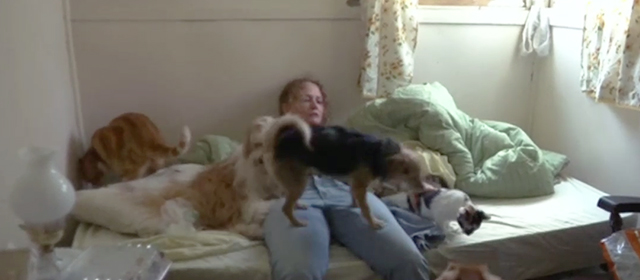 Francine - Francine Melissa Leo on bed with dogs and cats