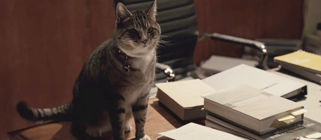 Frankie and Alice - tabby cat Sigmund sitting on desk