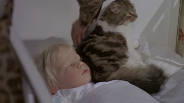 Fright - tabby and white cat Spooky lying in crib with baby boy