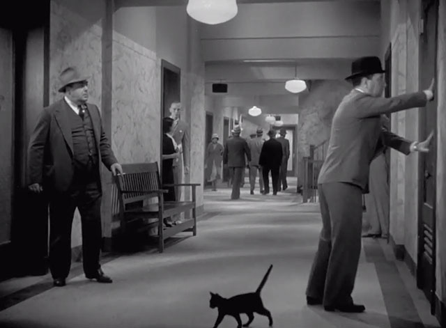 From Headquarters - black cat walking past Manny Hugh Herbert and Sgt. Boggs Eugene Pallette in hallway