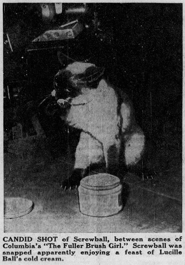 The Fuller Brush Girl - Siamese cat Screwball eating cold cream on set article