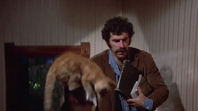 Getting Straight - Harry Bailey Elliott Gould passing tabby cat on stairs