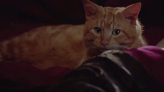 The Gingerbread Man - ginger tabby cat in bed between Rick Kenneth Branagh and Mallory Embeth Davidtz