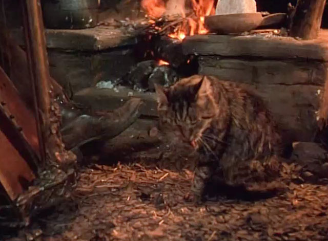 Gone to Earth - brown tabby cat preening in front of fireplace