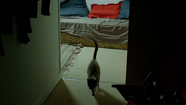 Le Grand Alibi - blue gray cat in dark hallway