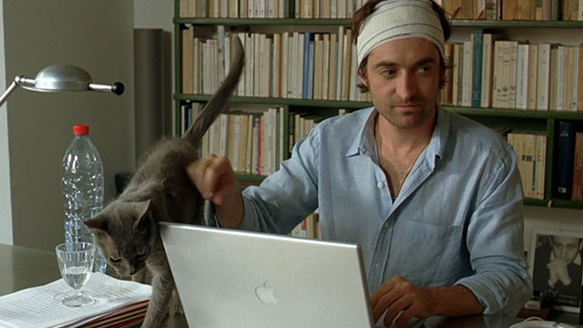 Le Grand Alibi - blue gray cat on desk with Philippe Mathieu Demy