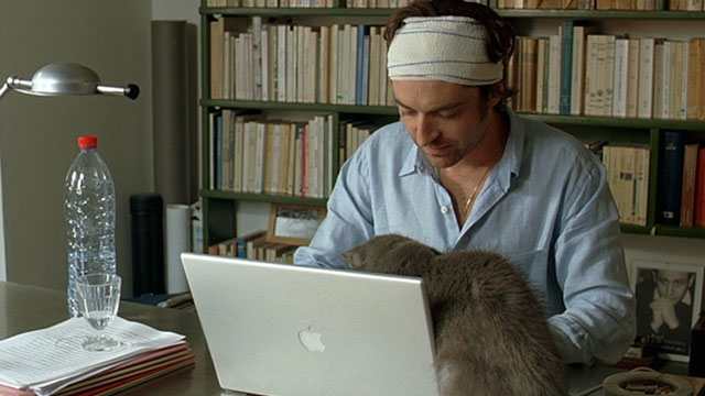 Le Grand Alibi - blue gray cat on desk with Philippe Mathieu Demy