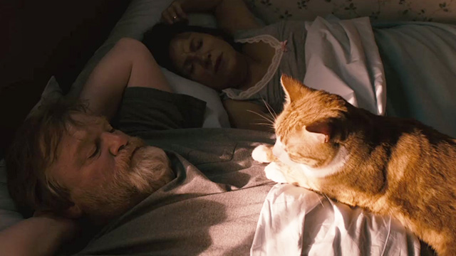 The Grand Seduction - Murray French Brendan Gleeson with orange and white tabby cat lying on chest in bed with wife Cathy Jones