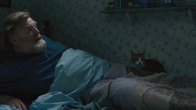 The Grand Seduction - Murray French Brendan Gleeson sitting up in bed with orange and white tabby cat