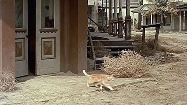 Guns of the Timberland - ginger tabby cat exiting building in ghost town