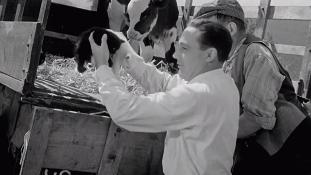 The Happy Road - black and white kittens in back of truck being picked up by Mike Gene Kelly