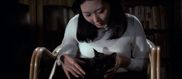 A Haunted Turkish Bathhouse - Bakeneko Toruko furo - black cat Kuro in lap of Natsuyo Terumi Azuma