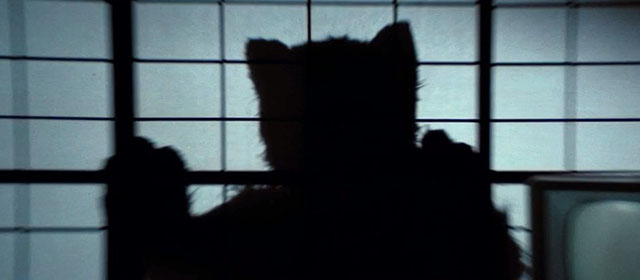 A Haunted Turkish Bathhouse - Bakeneko Toruko furo - silhouette of weird cat costume