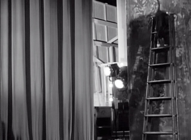 Hellzapoppin' - tuxedo cat on ladder