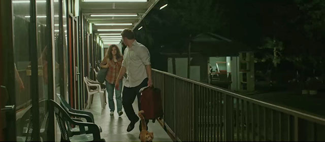 Hillbilly Elegy - J.D. Gabriel Basso walking down motel corridor with Bev Amy Adams and ginger tabby cat and dark cat on chair