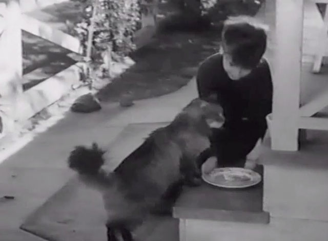 Home Sweet Homicide - Archie Dean Stockwell with longhair tabby cat Henderson on porch