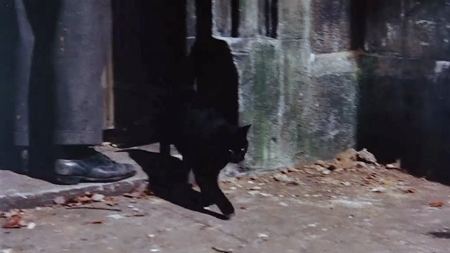 The Horse's Mouth - black cat walking out of church through opened door