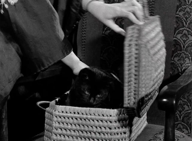 Hotel Splendide - black cat being placed into basket