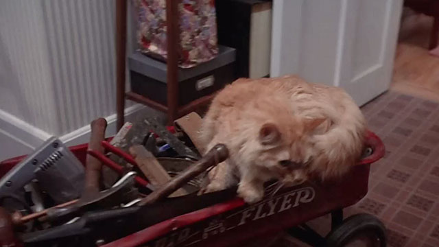 House Arrest - longhair tabby cat Flossie riding in wagon full of tools