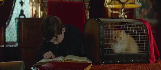 The House with a Clock in its Walls - Lewis Owen Vaccaro with long haired ginger cat in carrier