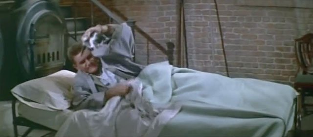 How to Be Very, Very Popular - Toby Orson Bean removing tuxedo kitten from his bed