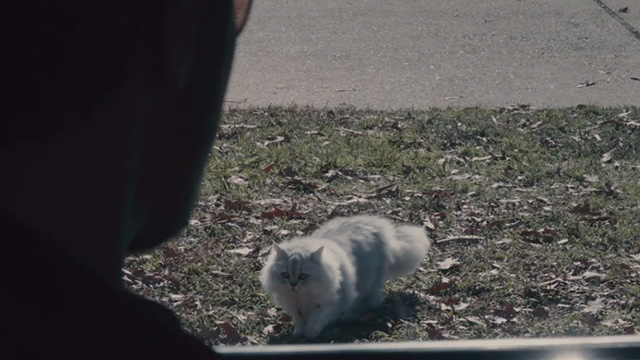 The Iceman - Richard Kuklinski Michael Shannon looking at white Persian cat on lawn