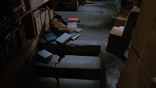I, Madman - ginger tabby cat standing among bloody books lying on floor