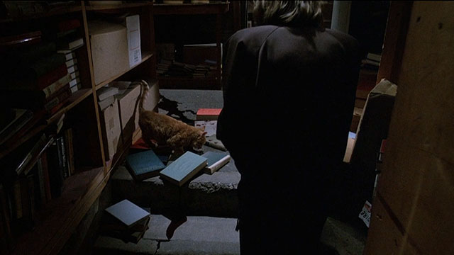 I, Madman - ginger tabby cat standing among bloody books lying on floor as Virginia approaches