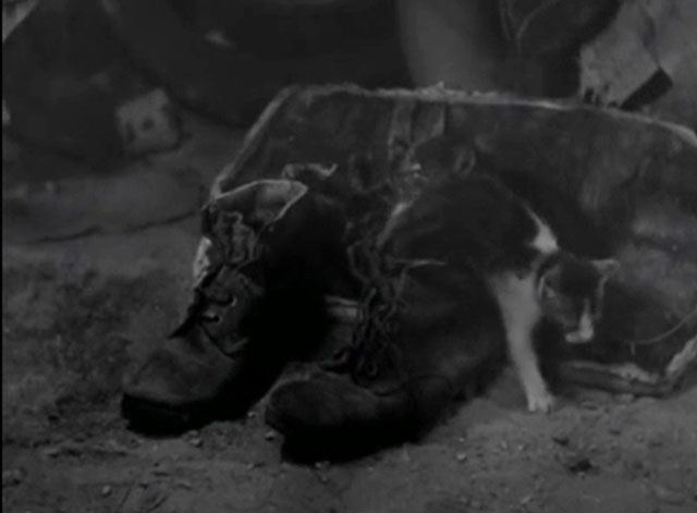 In the Name of the Law - Au nom de la loi - tabby kittens inside pair of boots shoes