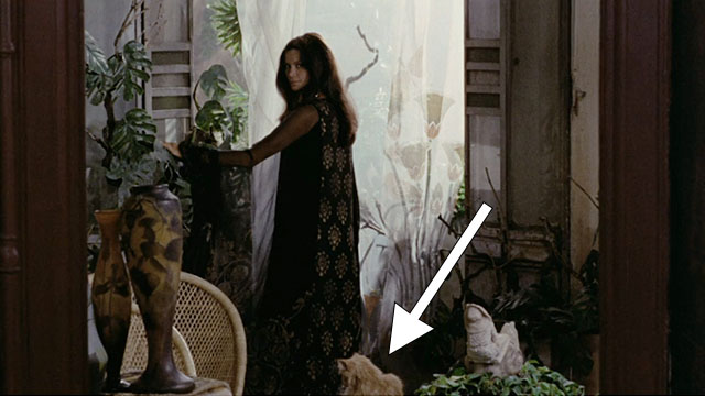 Investigation of a Citizen Above Suspicion - Augusta Terzi Florinda Bolkan standing with longhair ginger tabby cat at her feet