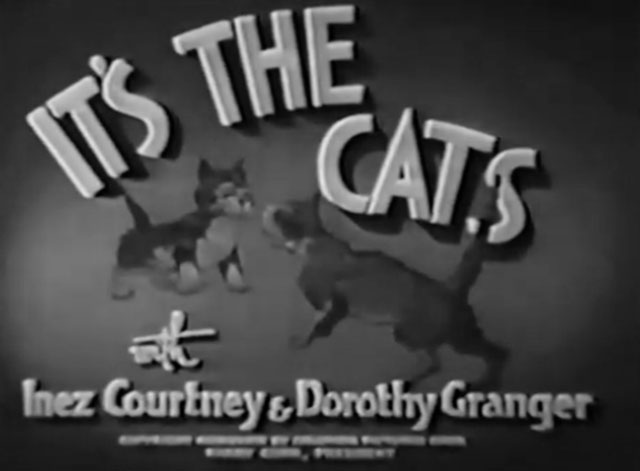 It's the Cats - opening title placard with two cartoon cats