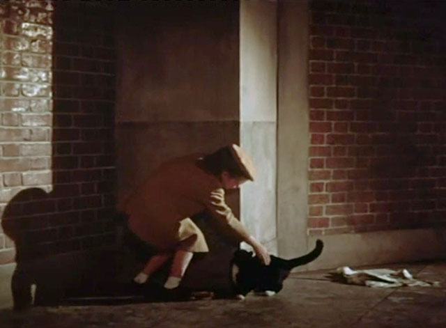 John and Julie - Julie Lesley Dudley in alley petting tuxedo cat