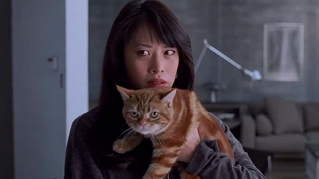 The Joy Luck Club - ginger tabby exotic shorthair cat held by Lena Lauren Tom