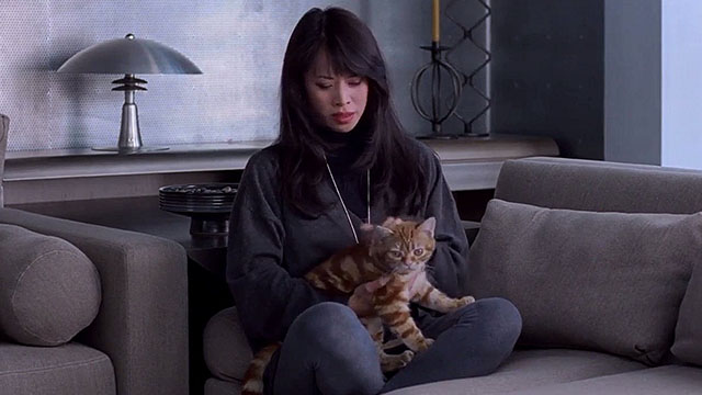 The Joy Luck Club - ginger tabby exotic shorthair cat held by Lena Lauren Tom in chair