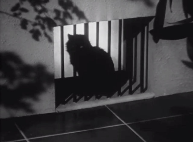 The Kiss Before the Mirror - black cat in window