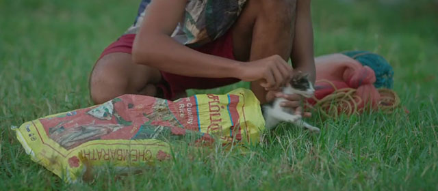 Kumbalangi Nights - Franky Mathew Thomas pulling tabby and white kitten from bag