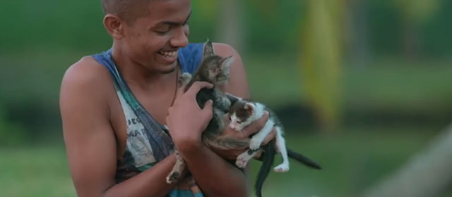 Kumbalangi Nights - Franky Mathew Thomas cuddling two kittens