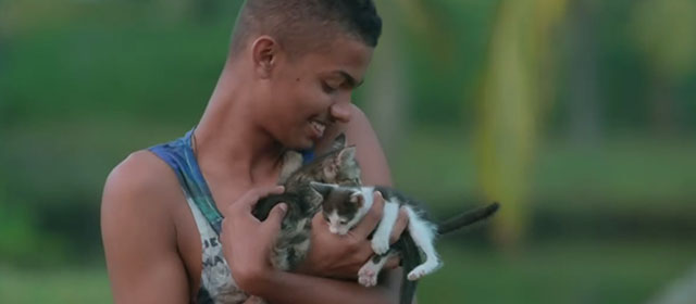 Kumbalangi Nights - Franky Mathew Thomas cuddling two kittens