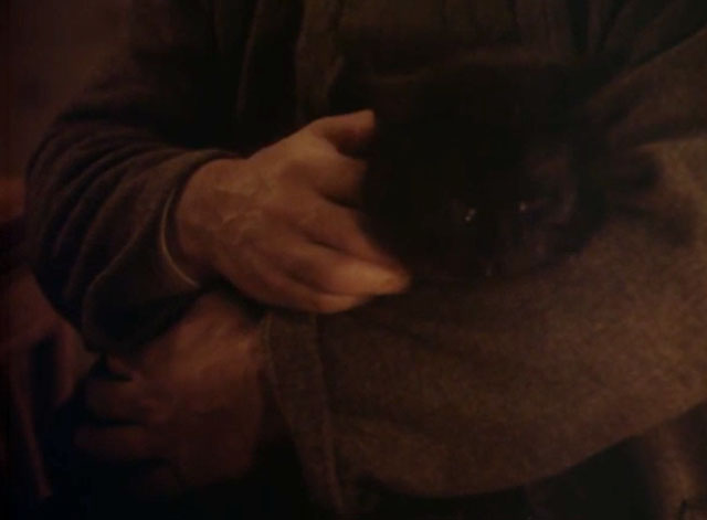 The Last Ninja - black cat being held