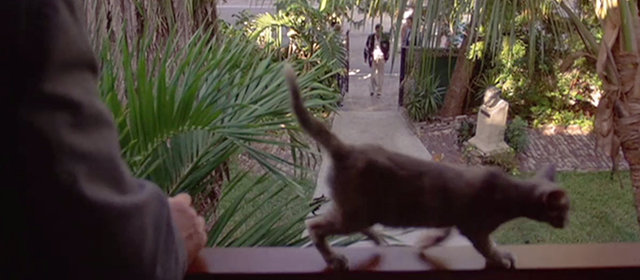 License to Kill - James Bond Timothy Dalton entering Hemmingway House with cats