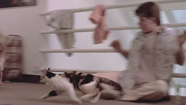 Like Father, Like Son - Trigger Sean Astin reacting to calico cat Seymour running after dog